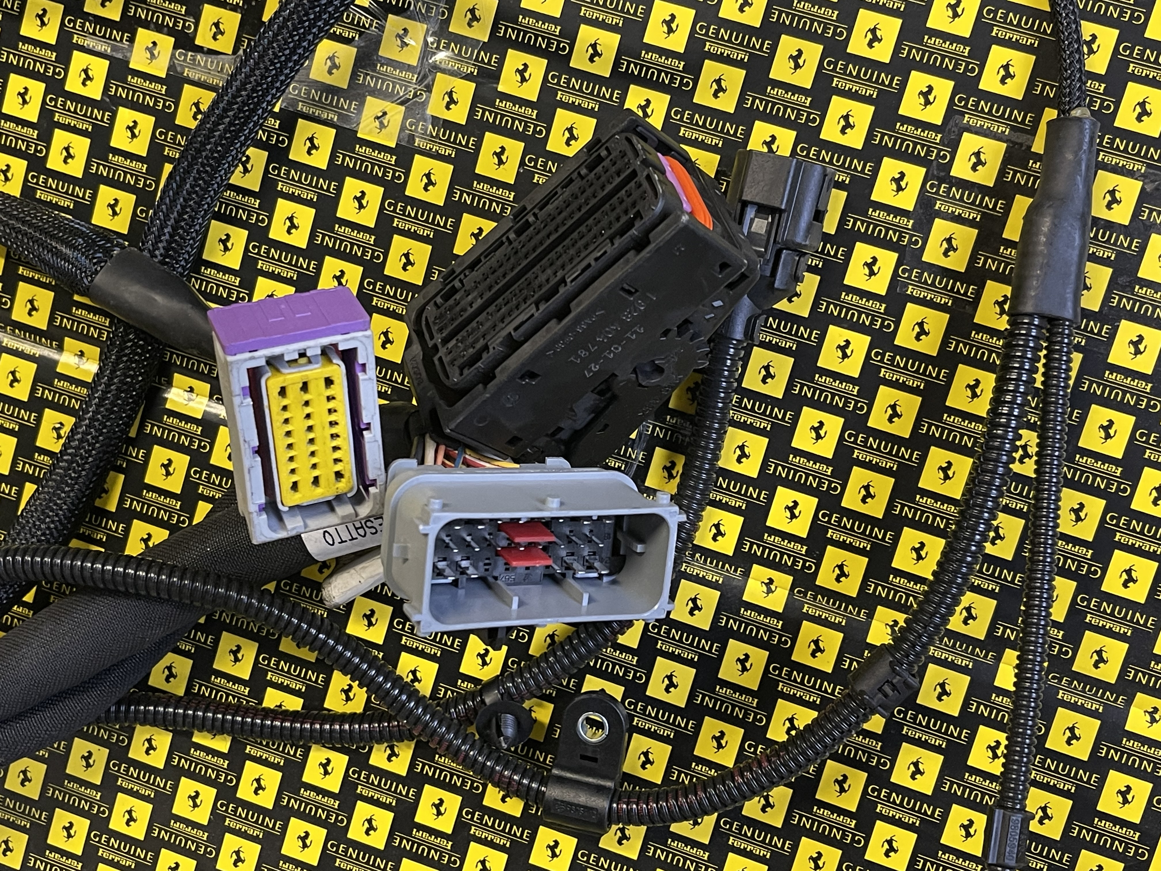 Ferrari 458 - Left Injection Wiring / Linker Kabelbaum Einspritzung