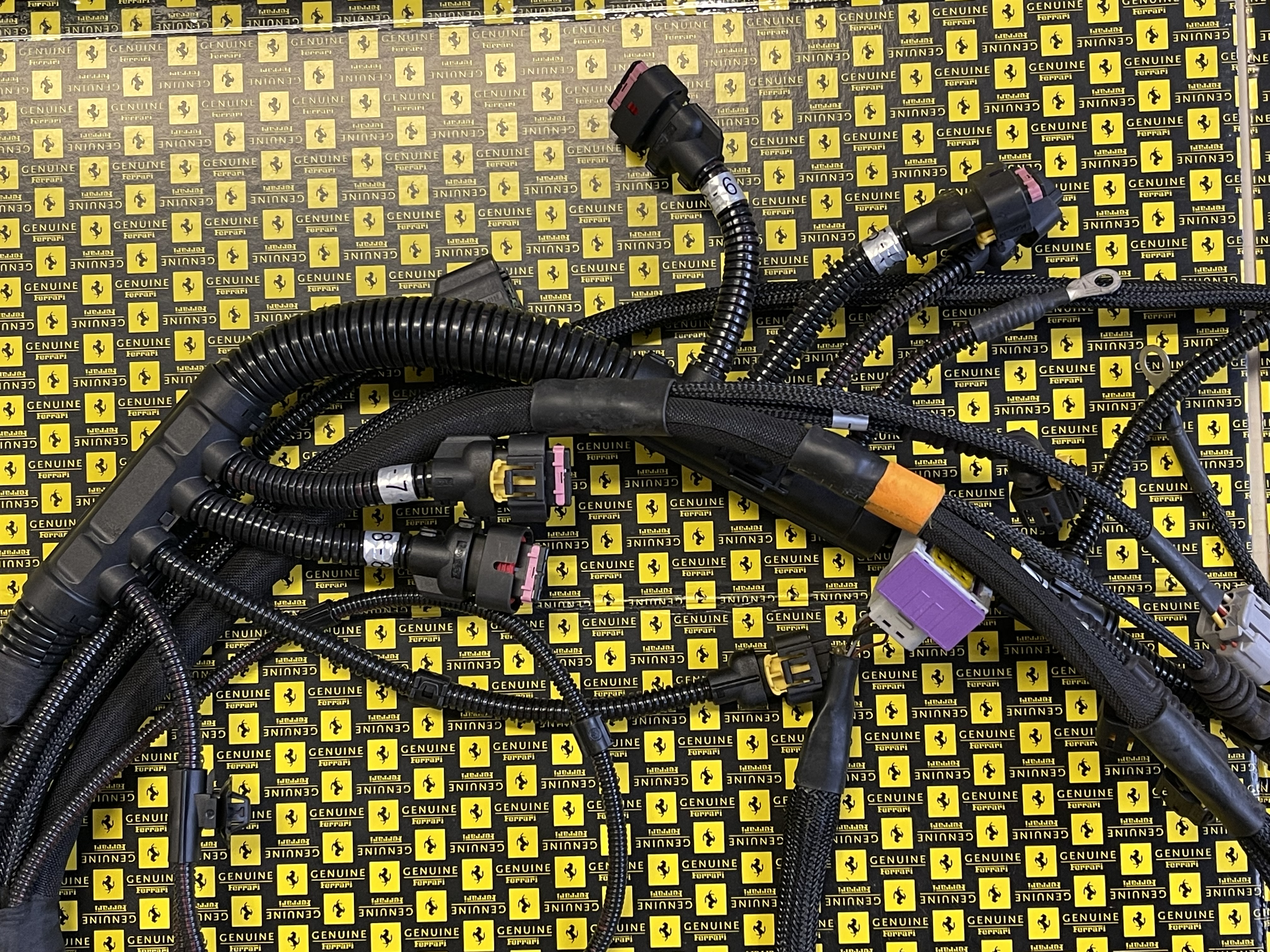 Fercari Injection Ferrari 458 - Left Injection Wiring / Linker Kabelbaum Einspritzung