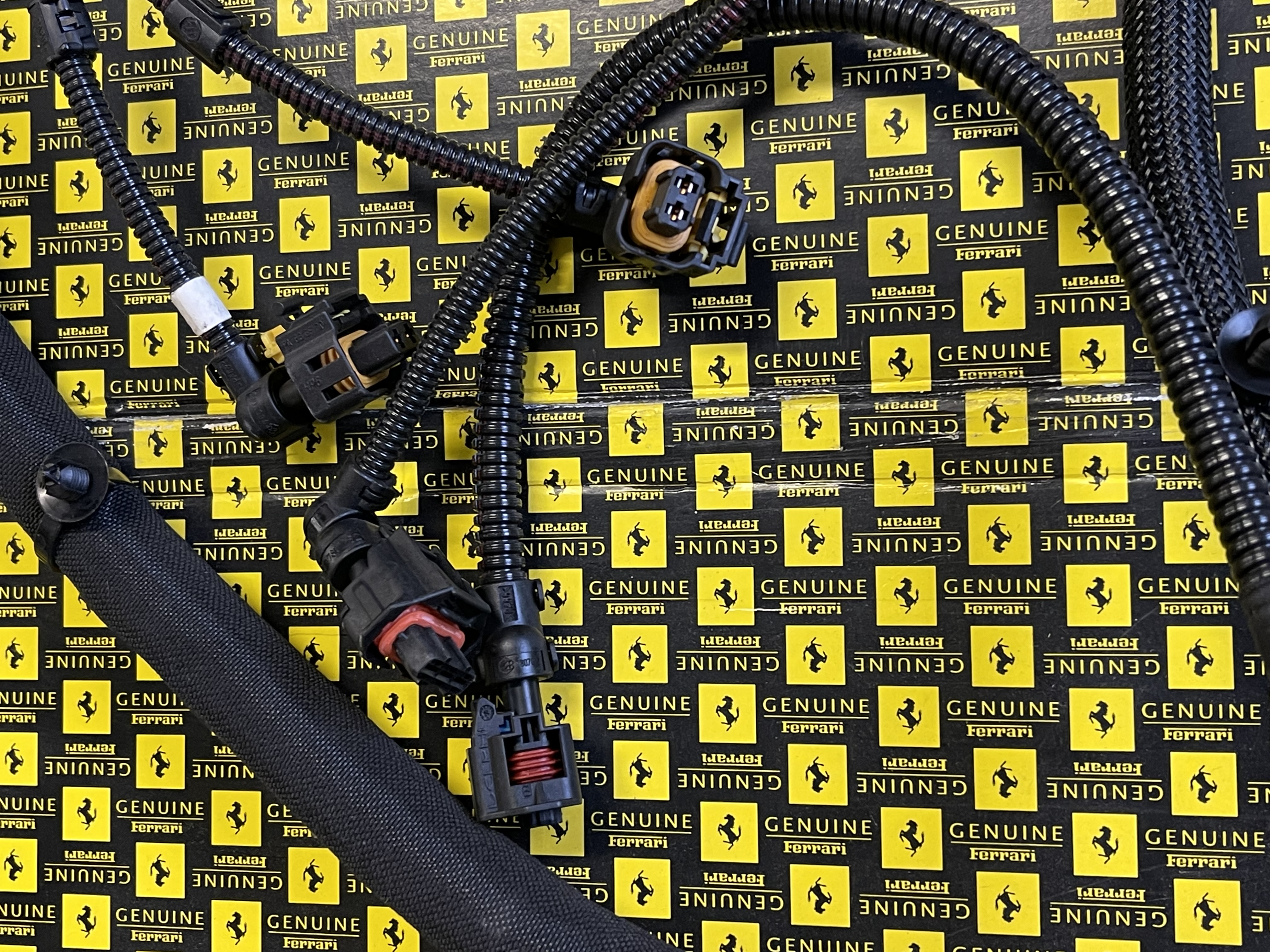 Ferrari 458 - Left Injection Wiring / Linker Kabelbaum Einspritzung