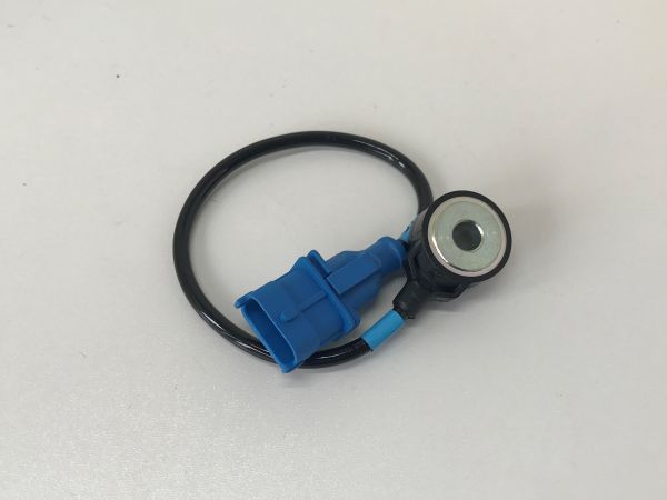 Sensor for Firing / Klopfsensor